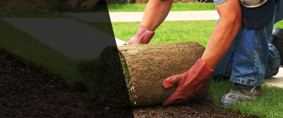 Jonesboro Landscapers